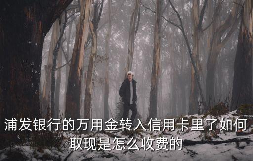 浦發(fā)銀行的萬用金轉(zhuǎn)入信用卡里了如何取現(xiàn)是怎么收費(fèi)的