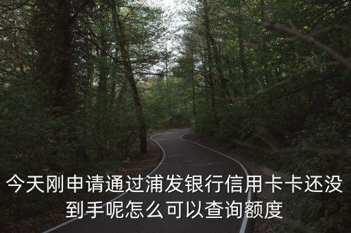 今天剛申請通過浦發(fā)銀行信用卡卡還沒到手呢怎么可以查詢額度