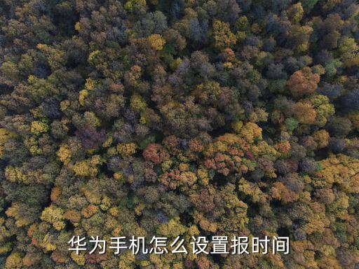 華為手機怎么設(shè)置報時間