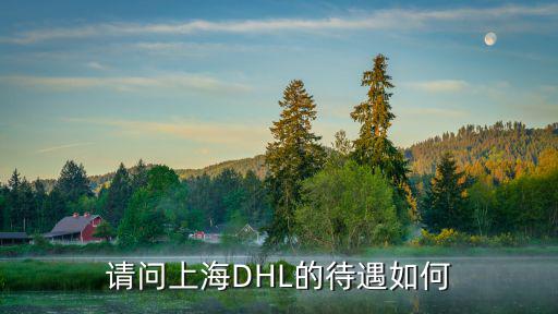 請問上海DHL的待遇如何