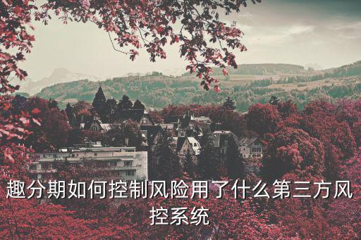 趣分期如何控制風(fēng)險(xiǎn)用了什么第三方風(fēng)控系統(tǒng)