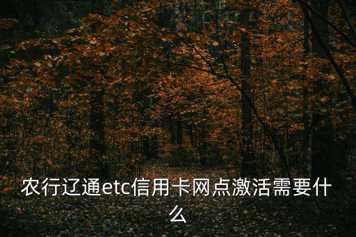 農(nóng)行遼通etc信用卡網(wǎng)點(diǎn)激活需要什么