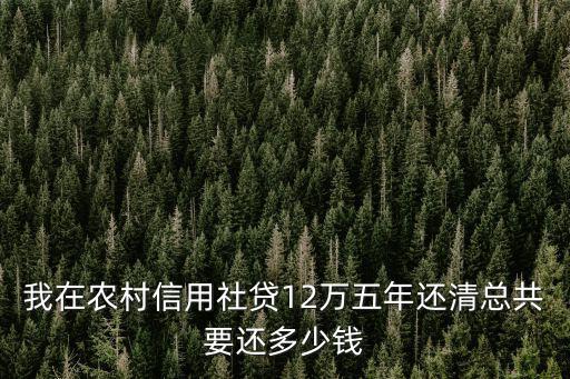 我在農(nóng)村信用社貸12萬五年還清總共要還多少錢