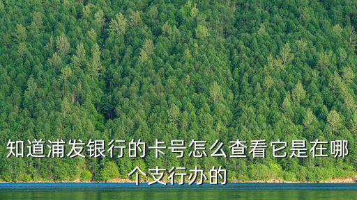 浦發(fā)卡怎么看開戶行，南師大浦發(fā)銀行卡的開戶行在哪