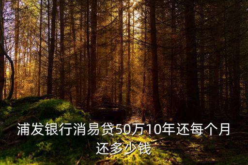 浦發(fā)銀行消易貸50萬10年還每個月還多少錢