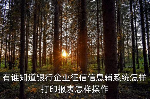 企業(yè)征信報(bào)告怎么打印，征信報(bào)告怎么打