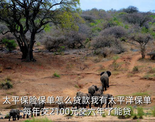太平保險保單怎么貸款我有太平洋保單每年交2100元交六年了能貸