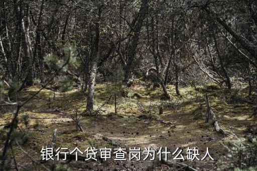 銀行個(gè)貸審查崗為什么缺人