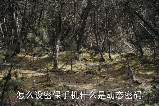手機(jī)動(dòng)態(tài)密碼怎么設(shè)置，怎么設(shè)密保手機(jī)什么是動(dòng)態(tài)密碼