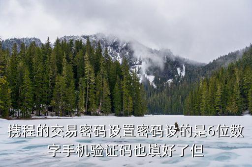 攜程怎么改交易密碼，攜程的交易密碼設(shè)置密碼設(shè)的是6位數(shù)字手機(jī)驗(yàn)證碼也填好了但