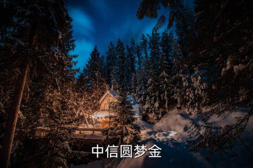 中信銀行圓夢(mèng)金怎么樣，把中信圓夢(mèng)金的錢(qián)套出來(lái)買(mǎi)房子嗎有人用過(guò)沒(méi)影響房貸按揭不  搜