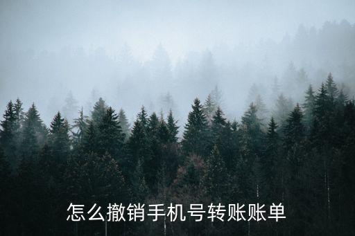 怎么撤銷(xiāo)手機(jī)號(hào)轉(zhuǎn)賬賬單