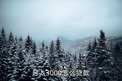 月入3000怎么貸款