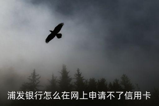 浦發(fā)信用卡怎么網(wǎng)上辦，浦發(fā)銀行怎么在網(wǎng)上申請不了信用卡