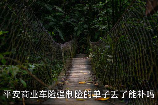 平安商業(yè)車險(xiǎn)強(qiáng)制險(xiǎn)的單子丟了能補(bǔ)嗎