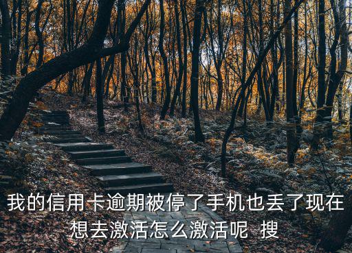 我的信用卡逾期被停了手機(jī)也丟了現(xiàn)在想去激活怎么激活呢  搜