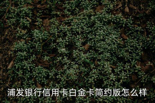 浦發(fā)ae白金卡怎么樣，浦發(fā)白金卡怎么樣