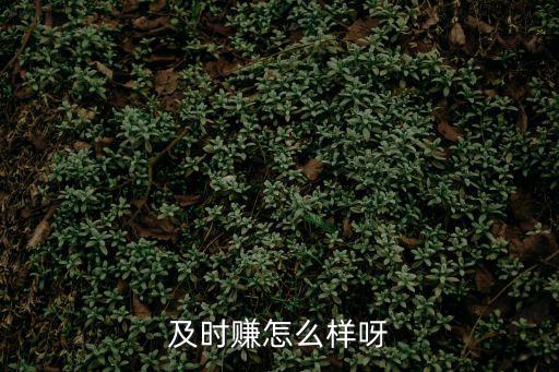 及時(shí)賺怎么樣呀