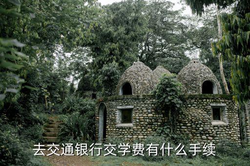去交通銀行交學(xué)費(fèi)有什么手續(xù)