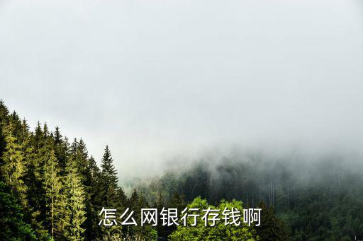 怎么網(wǎng)銀行存錢(qián)啊