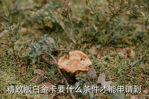 精致版白金卡要什么條件才能申請(qǐng)到