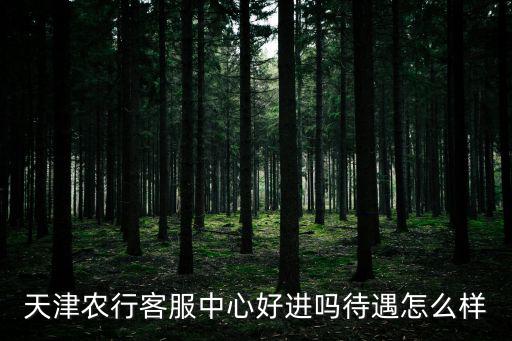 天津農(nóng)行客服中心好進嗎待遇怎么樣