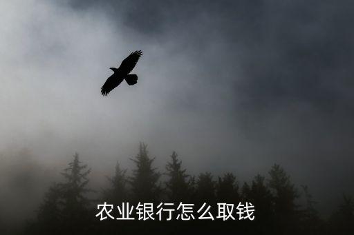 農(nóng)業(yè)銀行怎么取錢