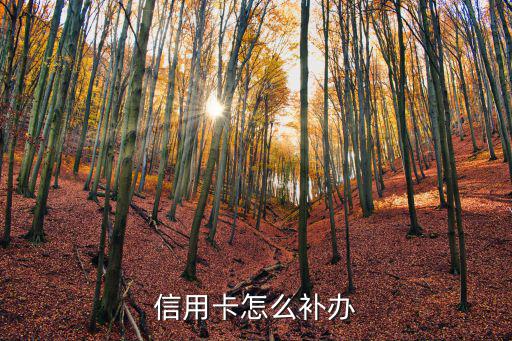 信用卡掉了怎么補(bǔ)卡，信用卡丟了也已經(jīng)掛失了能不能在網(wǎng)上補(bǔ)辦
