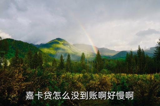 嘉卡貸秒拒怎么辦，如果不還嘉卡貸的借款會如何