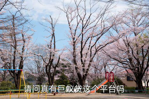 請問真有巨蟻貸這個(gè)平臺嗎