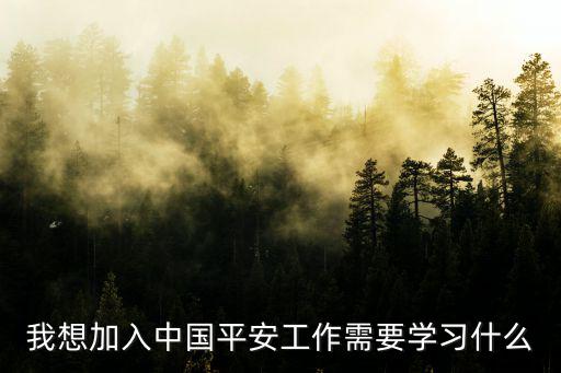我想加入中國(guó)平安工作需要學(xué)習(xí)什么