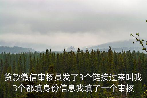 貸款微信審核員發(fā)了3個鏈接過來叫我3個都填身份信息我填了一個審核