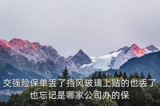 強(qiáng)險保險單丟了怎么辦，交強(qiáng)險單子丟了怎么辦