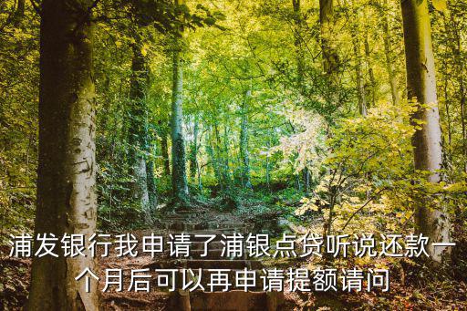 浦發(fā)銀行我申請了浦銀點(diǎn)貸聽說還款一個月后可以再申請?zhí)犷~請問