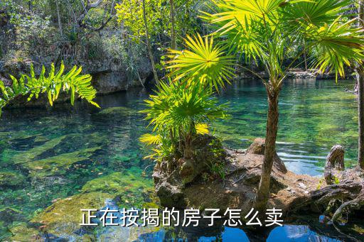 按揭中的房子怎么賣(mài)掉，正在按揭的房子怎么賣(mài)