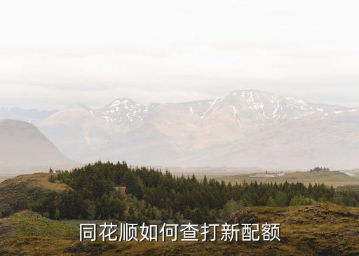 新股申購額度怎么查詢，如何申購新股如何查詢是否申購成功