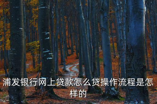 浦發(fā)信用貸款怎么辦理，浦發(fā)銀行網(wǎng)上貸款怎么貸操作流程是怎樣的