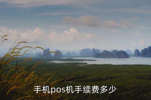 辦理pos機怎么收費，手機pos機手續(xù)費多少