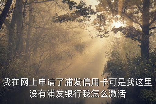 手機(jī)怎么激活浦發(fā)銀行，發(fā)工資了然后沒有時(shí)間去浦發(fā)銀行激活卡請(qǐng)問怎么弄能在手機(jī)上