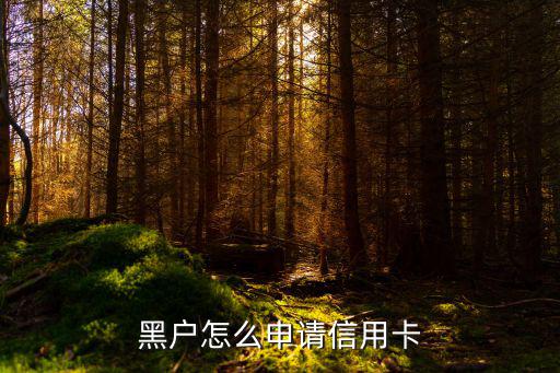 黑戶怎么申請信用卡