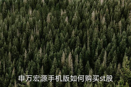 申萬宏源手機版如何購買st股