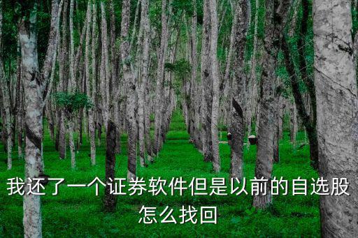 我還了一個證券軟件但是以前的自選股怎么找回