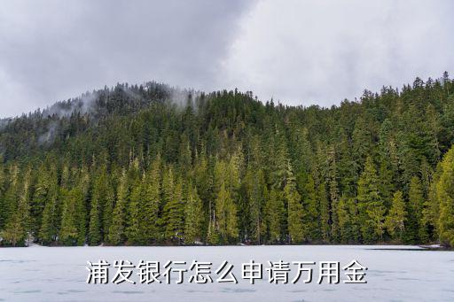 浦發(fā)銀行萬用金怎么扣，浦發(fā)萬用金退息怎么操作