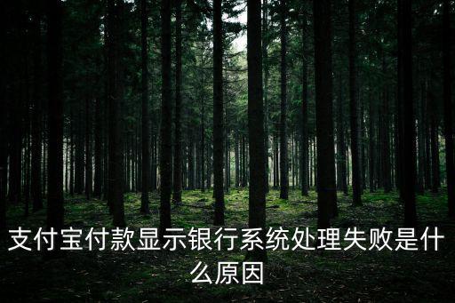 為什么銀行處理失敗怎么辦，手機(jī)支付寶轉(zhuǎn)賬說銀行處理失敗怎么回事