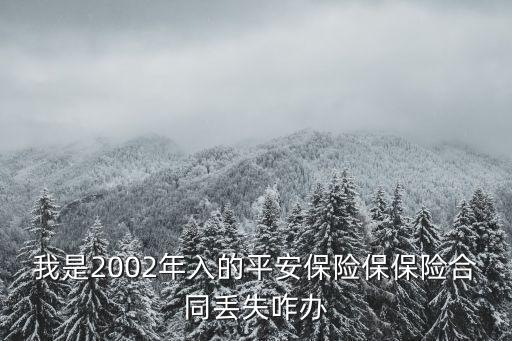 我是2002年入的平安保險(xiǎn)保保險(xiǎn)合同丟失咋辦