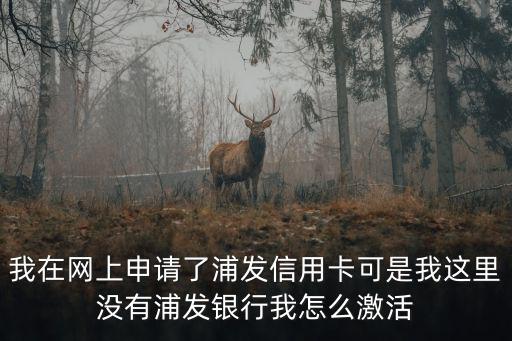 我在網(wǎng)上申請了浦發(fā)信用卡可是我這里沒有浦發(fā)銀行我怎么激活