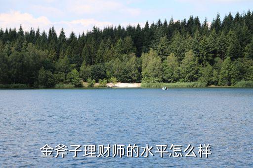 金斧子財(cái)富 怎么樣，金斧子理財(cái)師的水平怎么樣