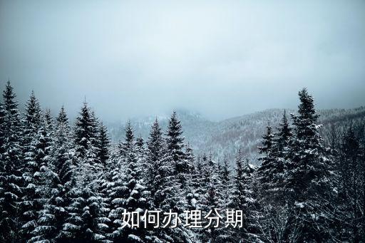 浦發(fā)吉利卡怎么分期付款，如何申請(qǐng)分期付款