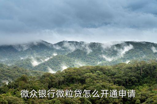 微信開(kāi)通微粒貸怎么申請(qǐng)開(kāi)通，怎么開(kāi)通微粒貸