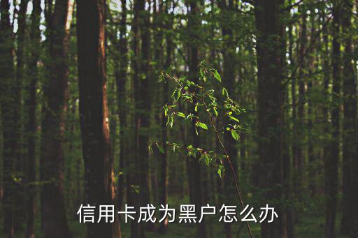 信用卡成為黑戶怎么辦，我想辦理借貸但是因?yàn)樾庞每ǖ膯栴}變成黑戶了這怎么辦